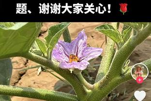 要崩盘了！雷霆第三节17-34雄鹿&三节结束已经落后18分